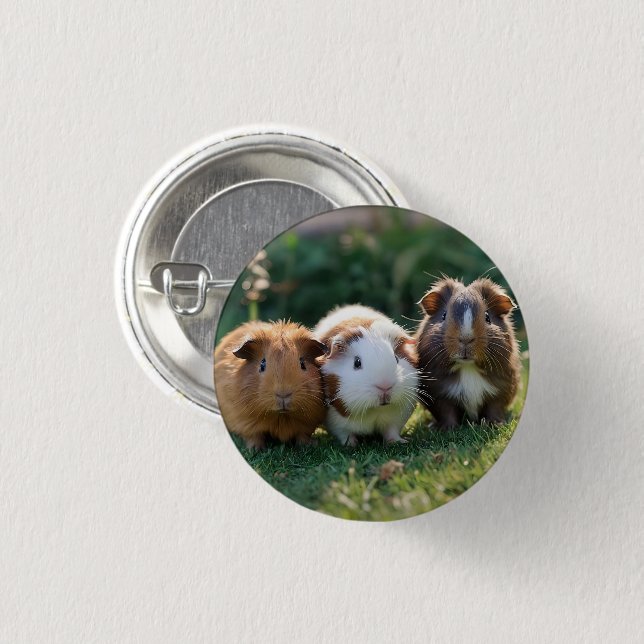 "Triple Squeak: Trio of Adorable Baby Guinea Pigs 1 Inch Round Button (Front & Back)