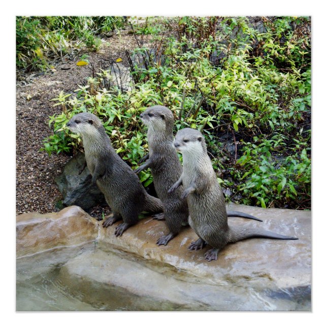 **"Triple Trouble: The Adventures of Otter Triplet Poster (Front)