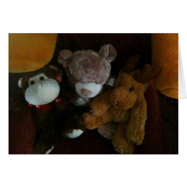 TRIPLER L'AMOUR=TRIPLETS (Devant horizontal)