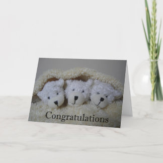 triplet bears congratulations card