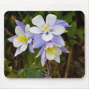 Triplets and New Bloom Mouse Pad
