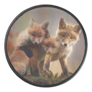Triplets Foxy