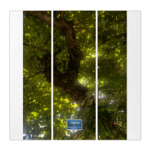 Triptych Wh.(Sun Green Tree 2)RFPMDesigns©️2021/24