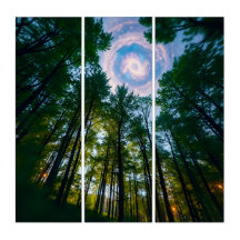 Forêt Céleste