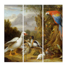 Jacob Bogdani A Macaw Canards Perroquets et autres