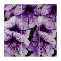 peinture murale violette