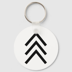 Trisomy 21 Down Syndrome Three Chromosome Arrows 1 Keychain