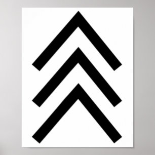 Trisomy 21 Down Syndrome Three Chromosome Arrows 1 Poster