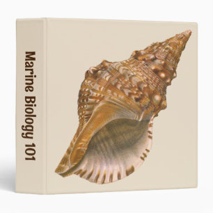 Triton Seashell Shell, Vintage Marine Ocean Animal Binder