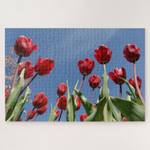 Triumph Tulip (Tulipa) "Reinier Paping" Jigsaw Puzzle