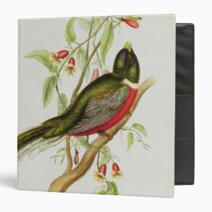Trogon Ambiguus Binder
