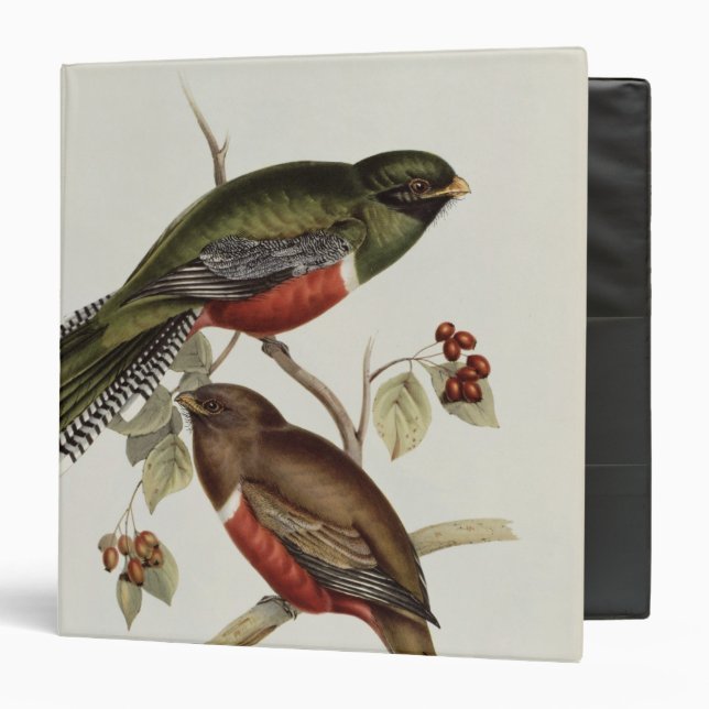Trogon Collaris Binder (Front/Inside)