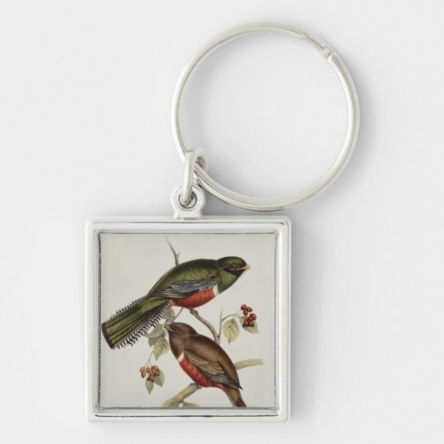 Trogon Collaris Keychain (Front)