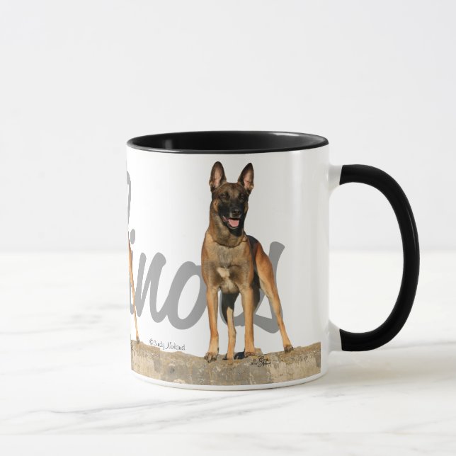 Trois Belge Malinois avec la tasse de nom de race (Droite)