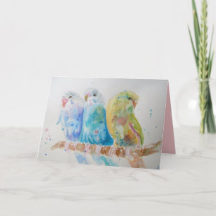 Trois Budgies Assis sur une carte de branche migno