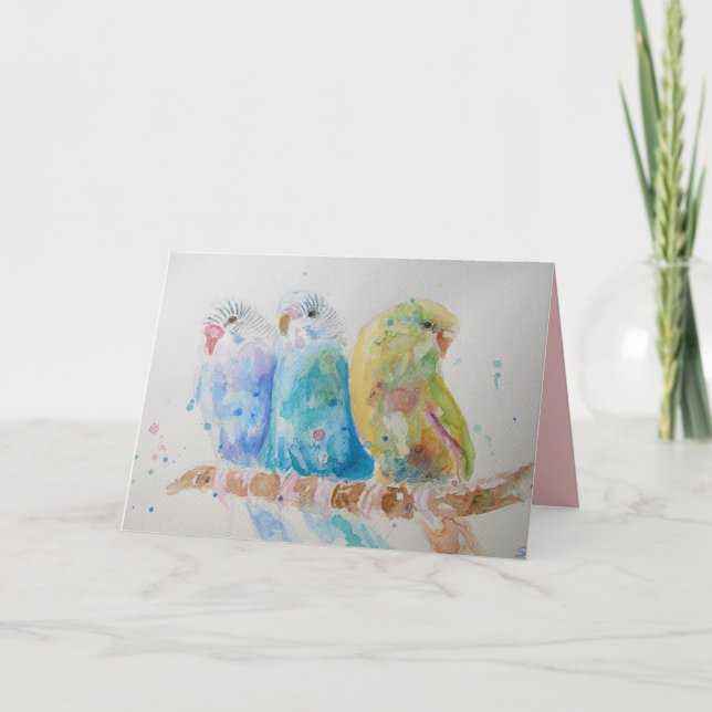 Trois Budgies Assis sur une carte de branche migno (Devant)