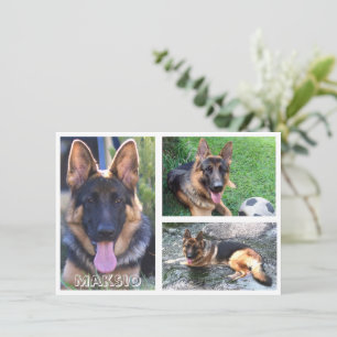 Trois cartes photo et nom