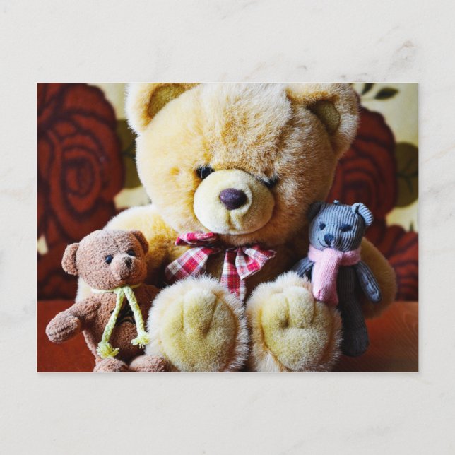 Trois cartes postales Nounours (Devant)