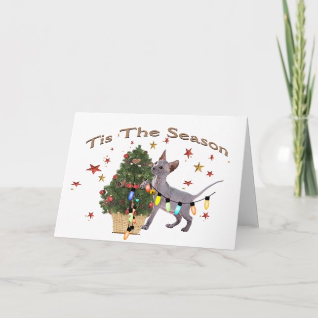Trois chats et des cartes de Noël Carlin (Devant)