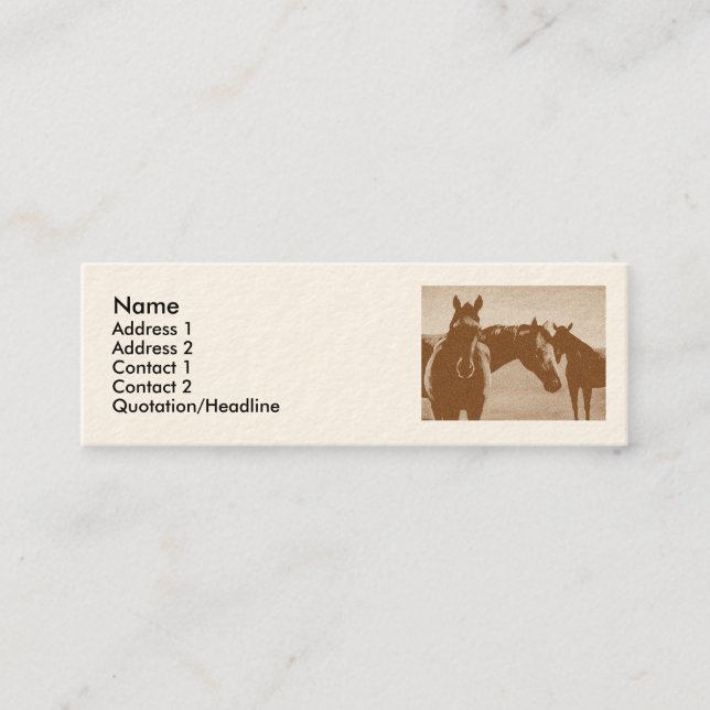 "Trois chevaux Brown" ont customisé la carte de (Devant)