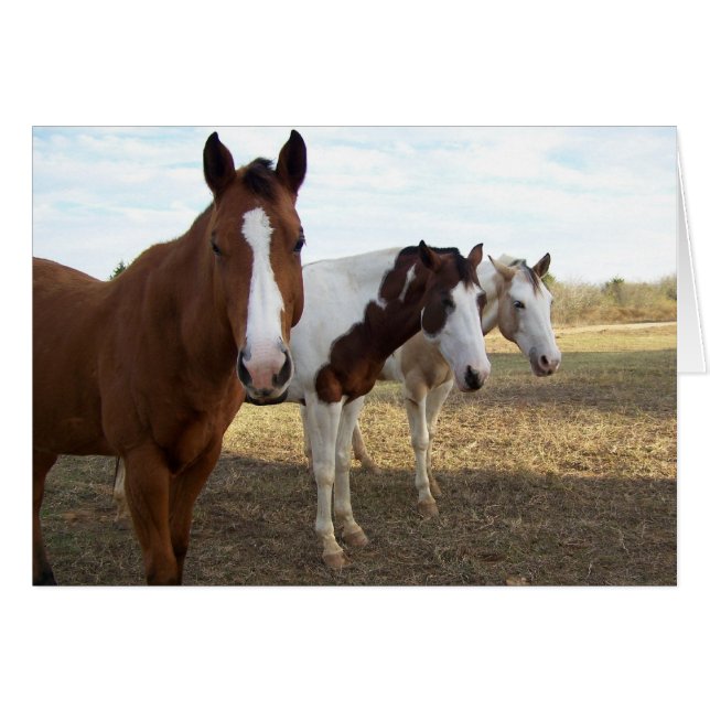 Trois chevaux (carte blanche) (Devant horizontal)