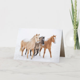 Trois Chevaux colorés - Carte de voeux