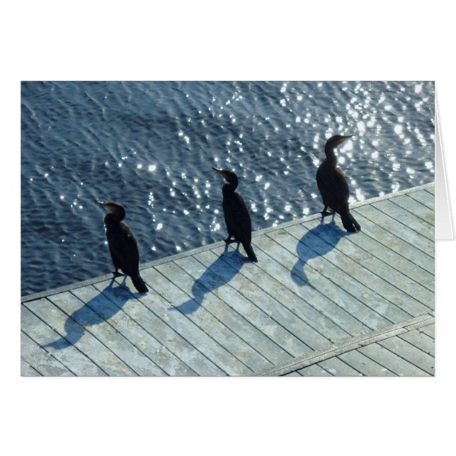 Trois Cormorans (Devant horizontal)