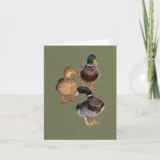 Trois drôles de canards sauvages Carte de voeux pl (Devant)