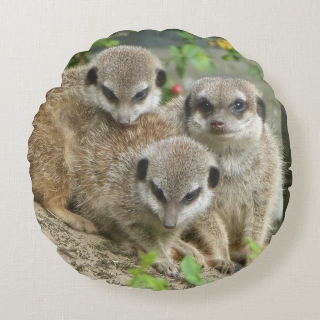 Trois jolis suricates Coussin rond (Devant)