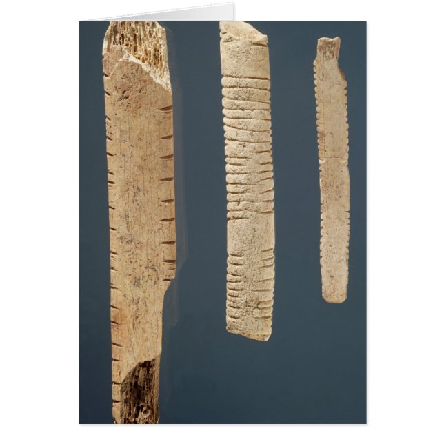 Trois ont décoré des os (Devant)