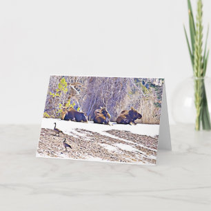 Trois orignaux, carte pour notes