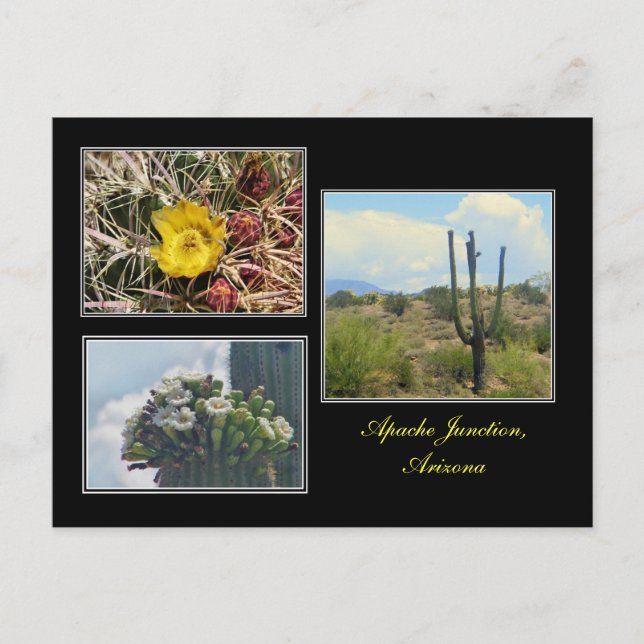 trois photos d'Apache Junction Arizona carte posta (Devant)
