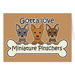 Trois Pinschers miniatures