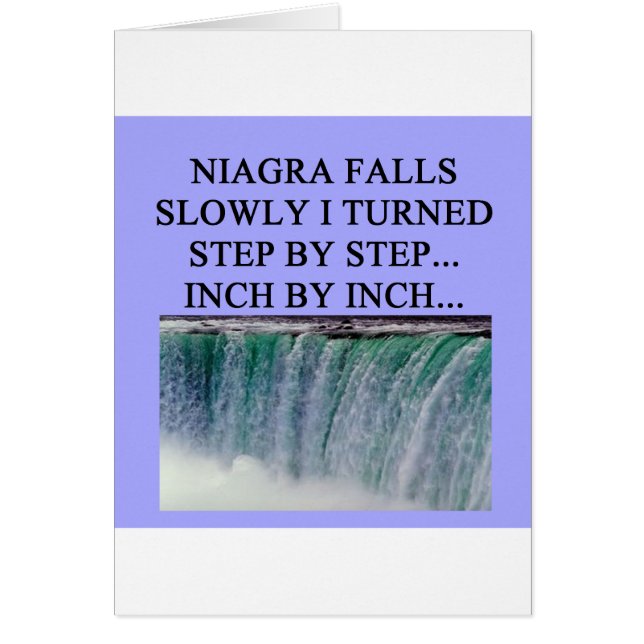 trois selles (Devant)