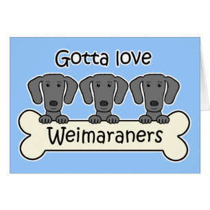 Trois Weimaraners