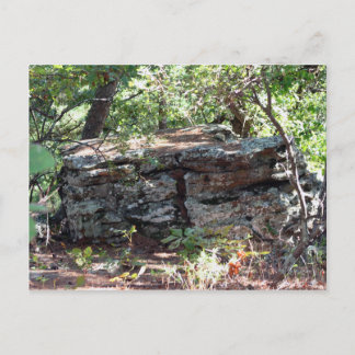 Troll House Postcard