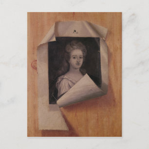 Trompe l'Oeil Portrait of a Lady Postcard