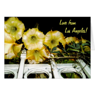 Trompette à la nuit 1b