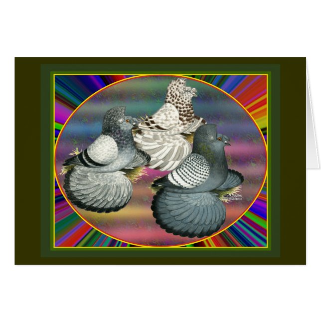 Trompettes Pigeons Trois (Devant Horizontal)