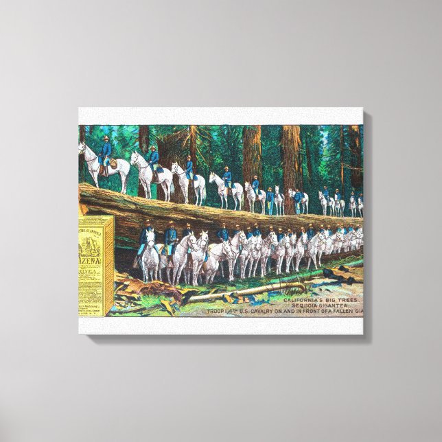 Troop I on and in front of Fallen Giant Canvas Print (Front)