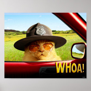 Trooper Cat Poster