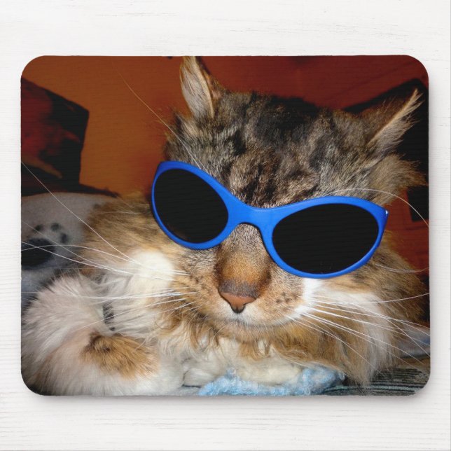 "Trooper The Cat" Cool Dude! Mousepad (Front)