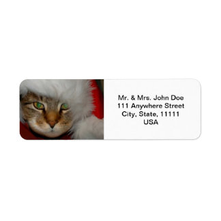 "Trooper The Cat" Sandpaper Kisses Address Labels