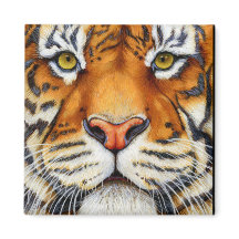 Trop près - Aimant sibérien