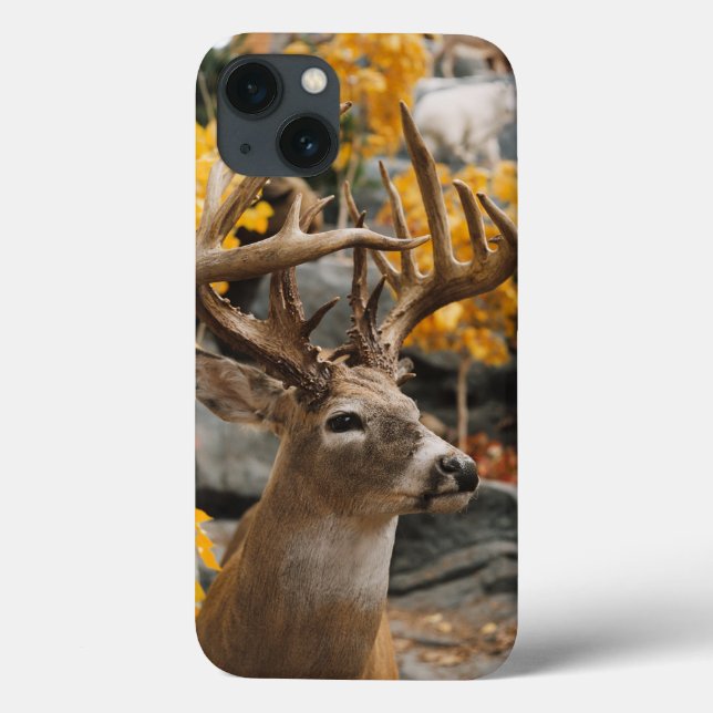 Trophy Deer Case-Mate iPhone Case (Back)