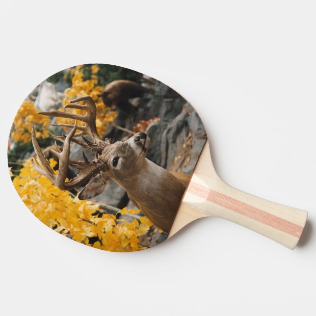 Trophy Deer Ping Pong Paddle (Side)