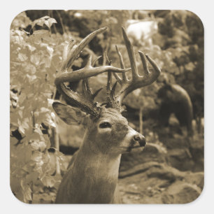 Trophy Deer Square Sticker