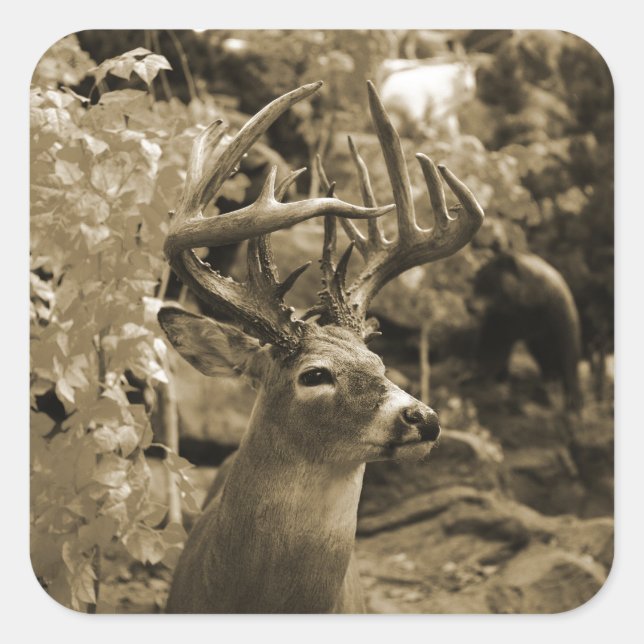 Trophy Deer Square Sticker (Front)