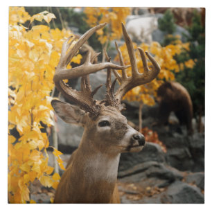 Trophy Deer Tile