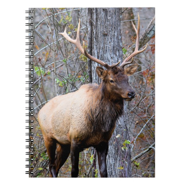 Trophy Elk Notebook (Front)